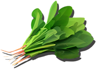 菠菜游戏图标